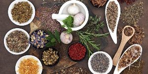 Comment bien se nourrir selon la médecine ayurvédique ?